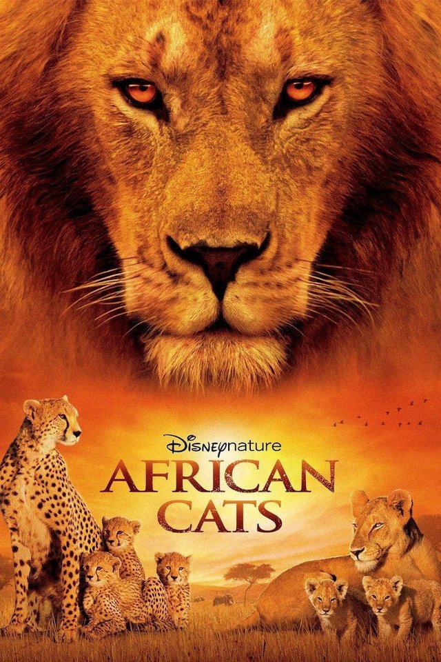 African Cats 