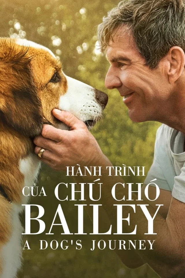 Hành Trình Của Chú Chó Bailey 