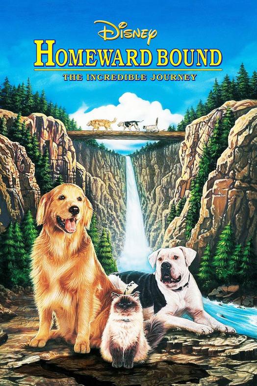 Homeward Bound: The Incredible Journey 