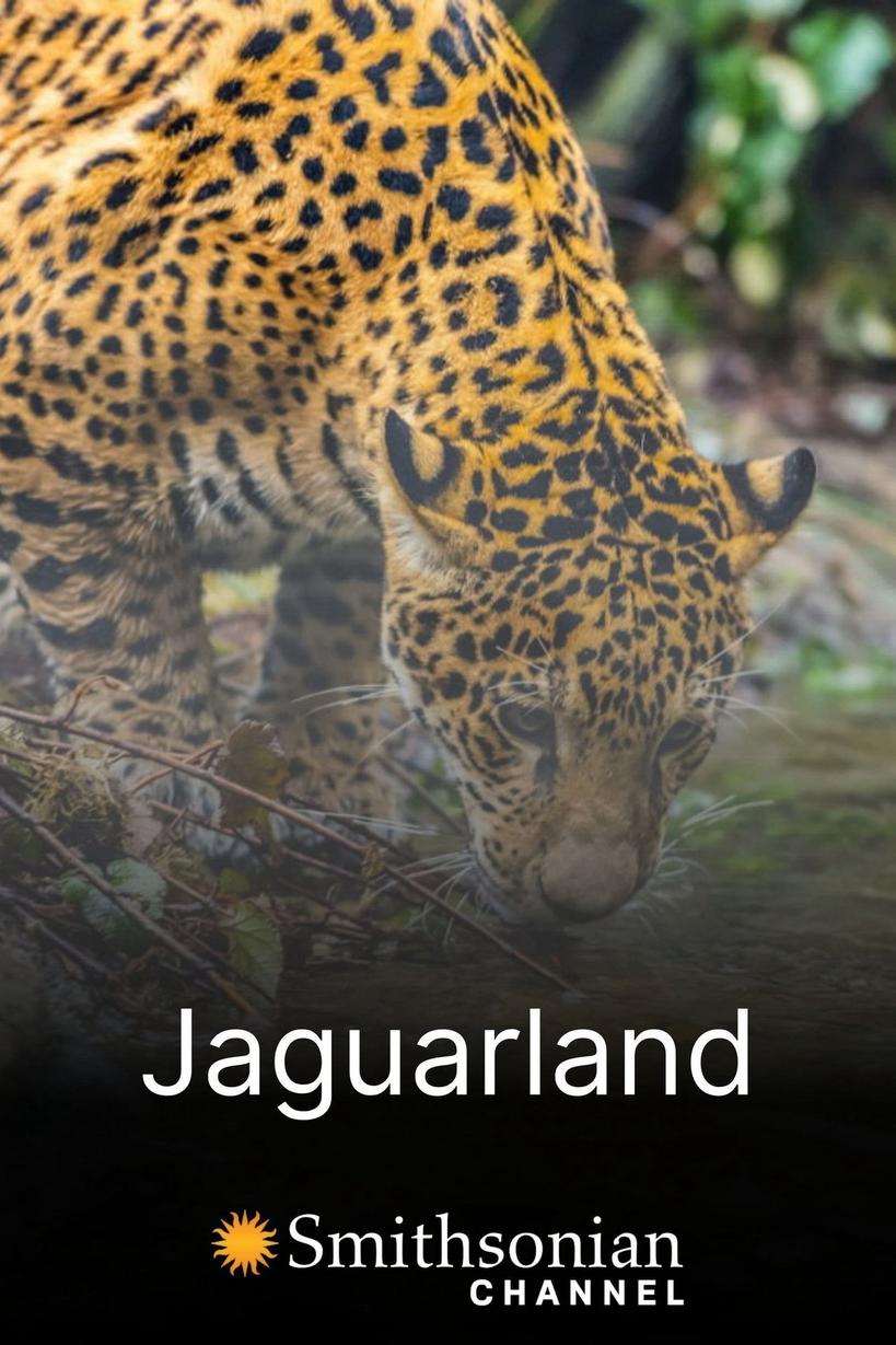 Jaguarland 