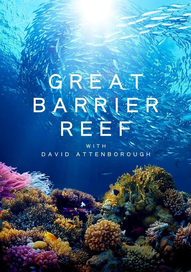 Khám Phá Rạn San Hô Great Barrier cùng David Attenborough 