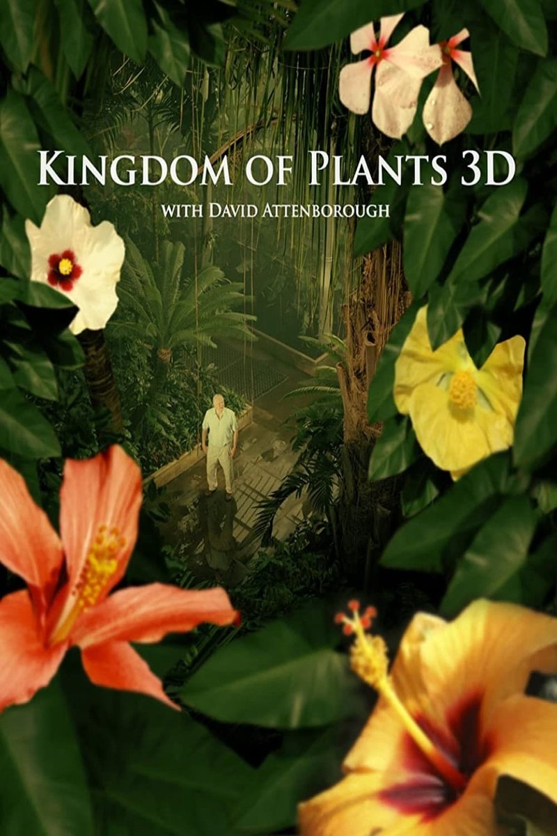 Kingdom of Plants 