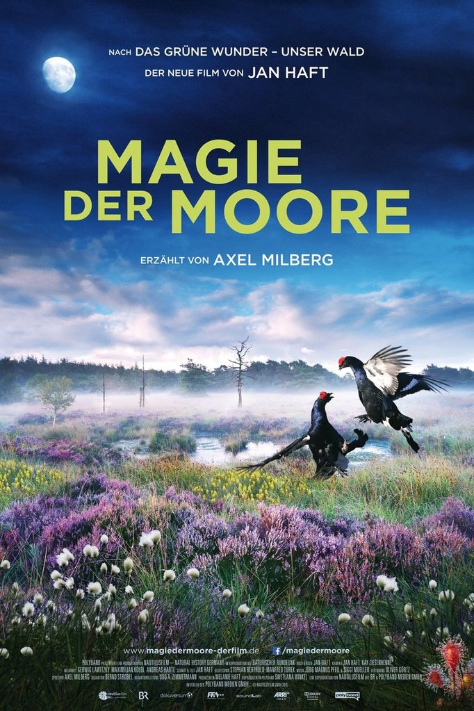 Magie der Moore 