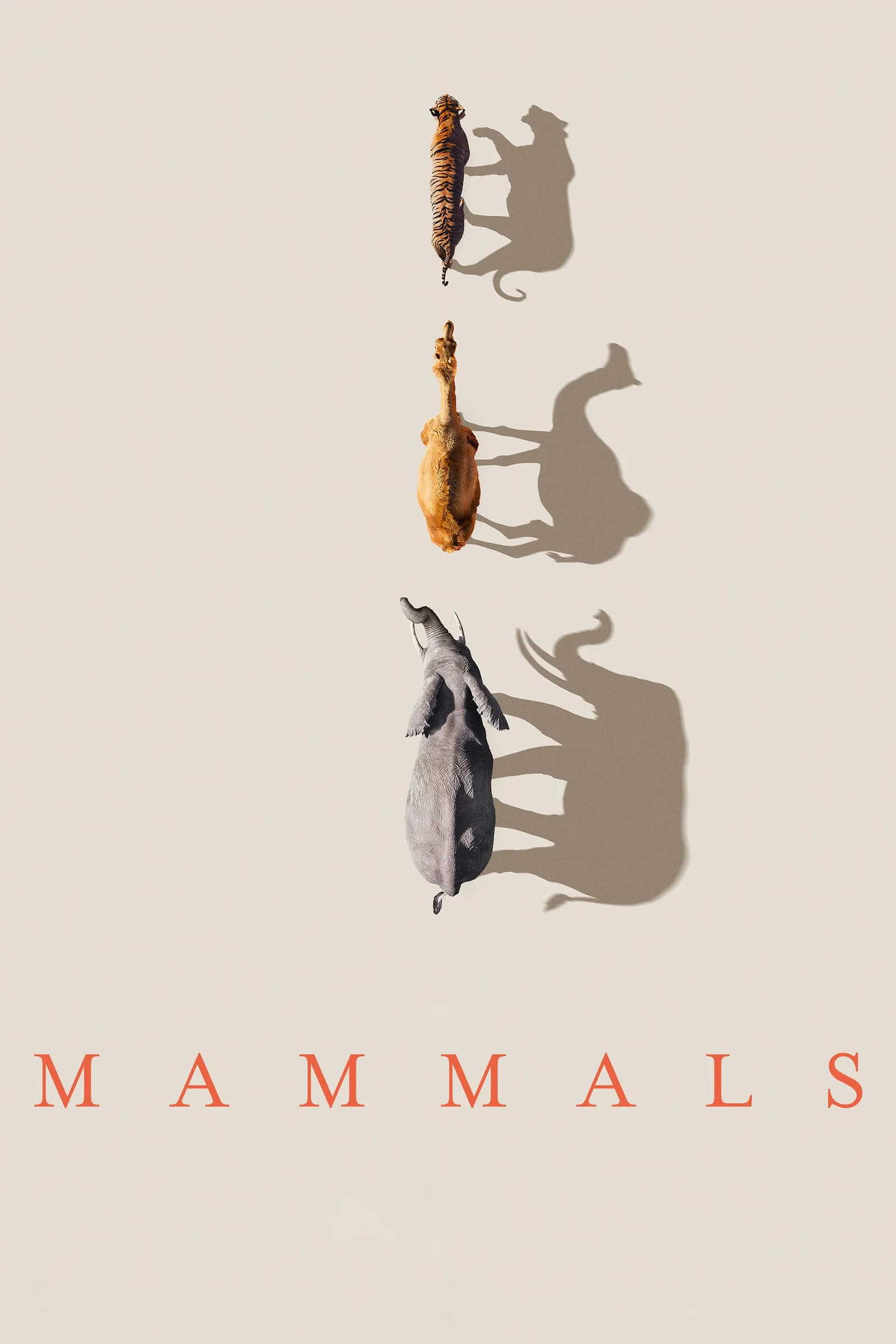 Mammals (2024) 