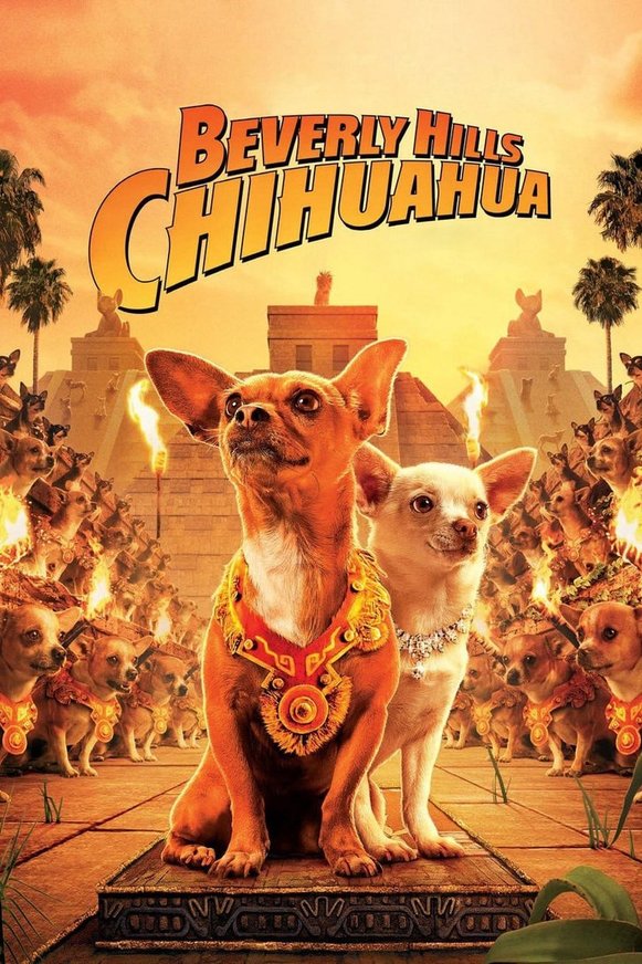 Những Chú Chó Chihuahua 