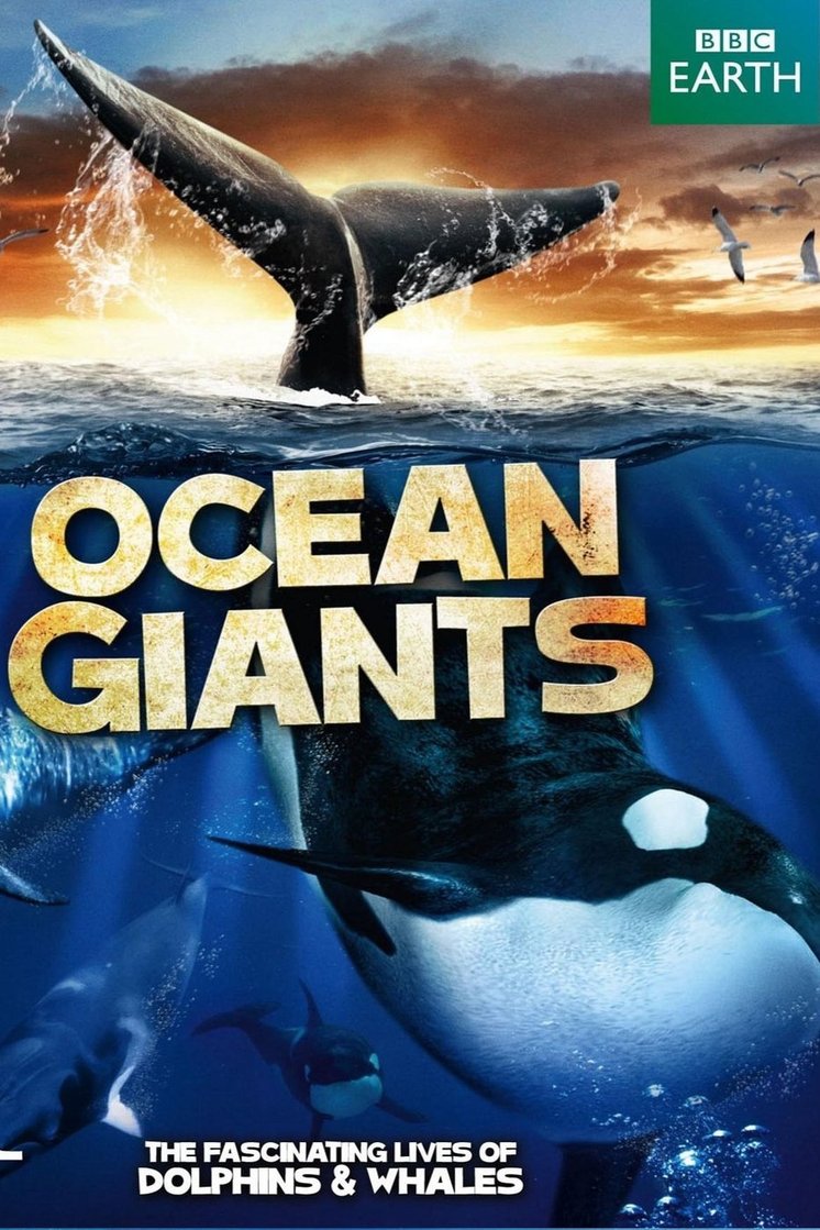 Ocean Giants 