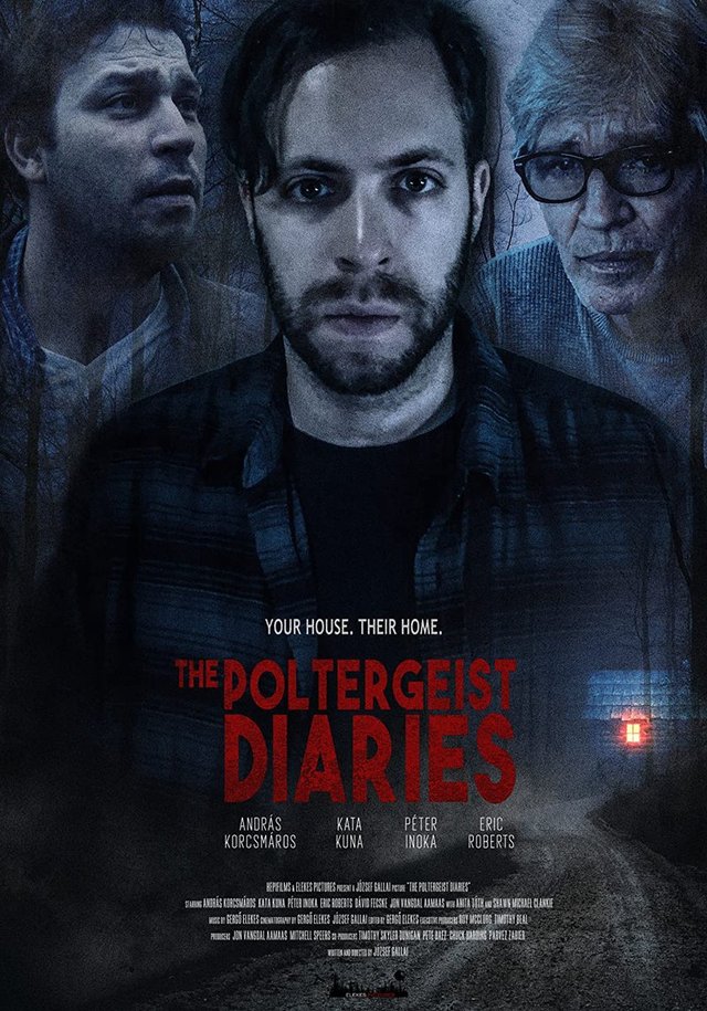 The Poltergeist Diaries 