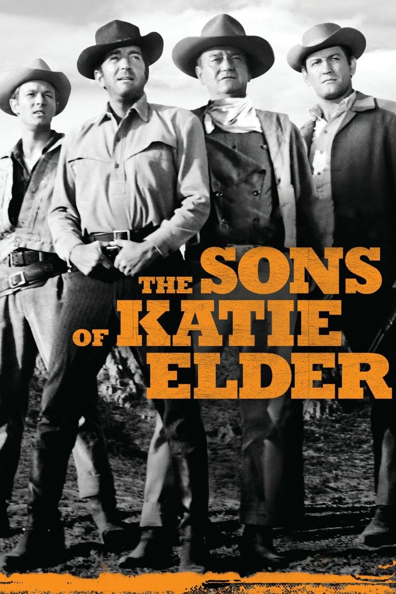 The Sons of Katie Elder 