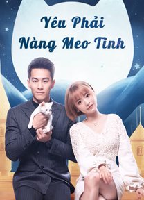 Yêu Phải Nàng Meo Tinh 